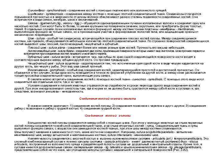 Синхондроз - synchondrosis - соединение костей с помощью гиалинового или волокнистого хрящей. Синдесмоз -