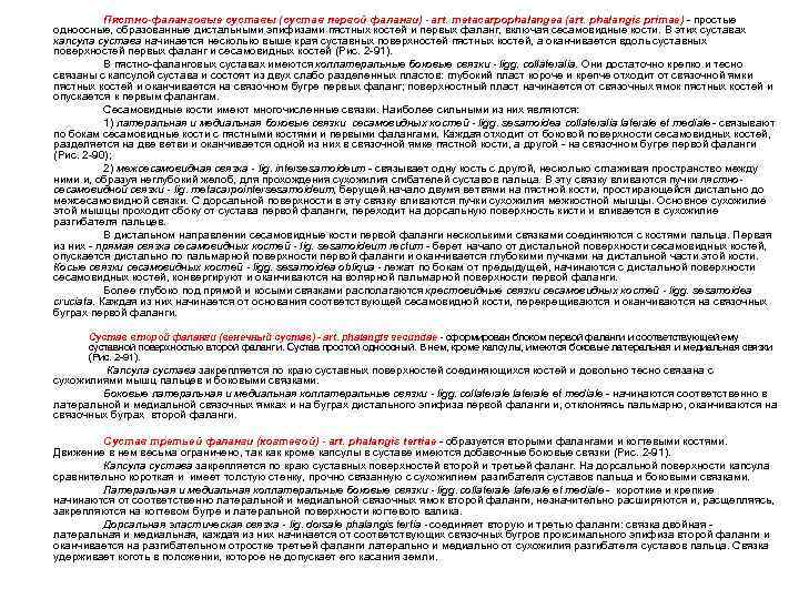Пястно-фаланговые суставы (сустав первой фаланги) - art. metacarpophalangea (art. phalangis primae) - простые одноосные,