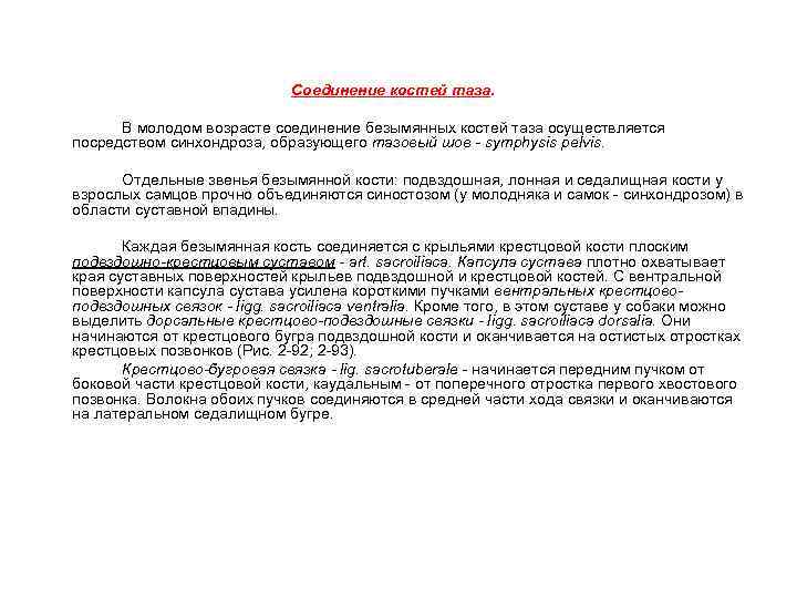 Соединение костей таза. В молодом возрасте соединение безымянных костей таза осуществляется посредством синхондроза, образующего