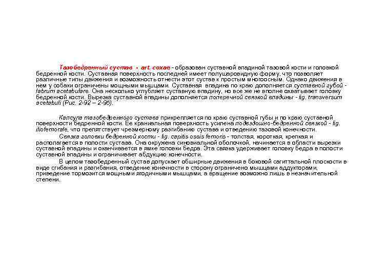 Тазобедренный сустав - art. coxae - образован суставной впадиной тазовой кости и головкой бедренной