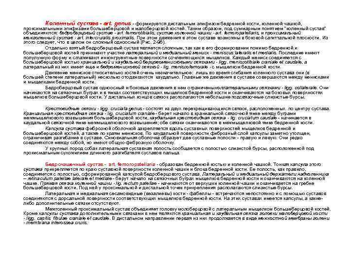 Коленный сустав - art. genus - формируется дистальным эпифизом бедренной кости, коленной чашкой, проксимальными