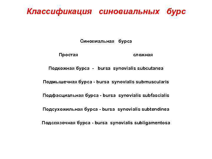 Классификация синовиальных бурс Синовиальная бурса Простая сложная Подкожная бурса - bursa synovialis subcutanea Подмышечная