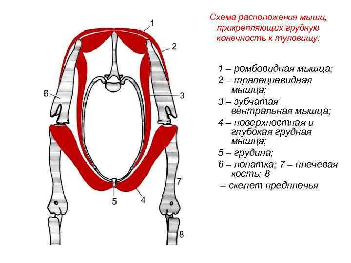 Схема расположена