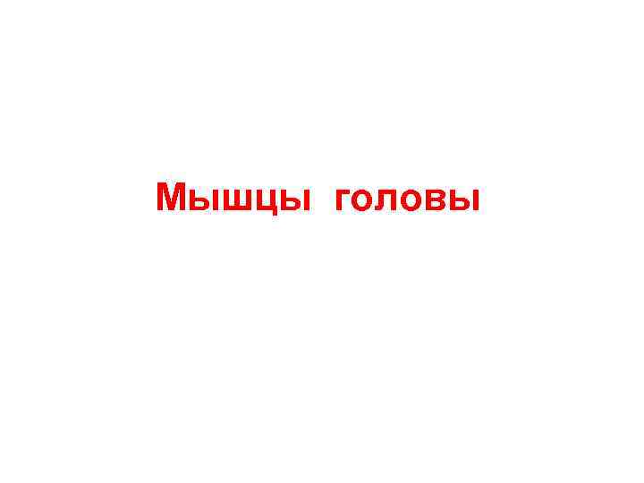 Мышцы головы 