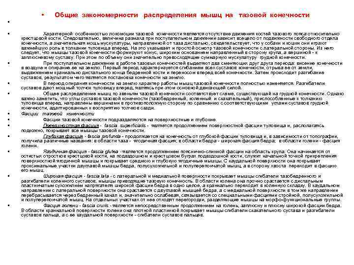  • Общие закономерности распределения мышц на тазовой конечности • • • Характерной особенностью