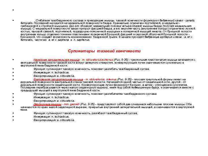  • • Сгибатели тазобедренного сустава и приводящие мышцы тазовой конечности формируют бедренный канал