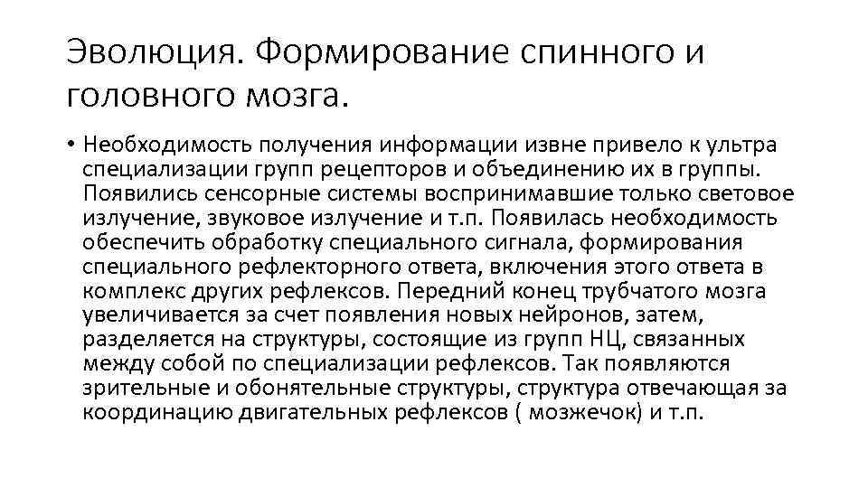 Эволюция. Формирование спинного и головного мозга. • Необходимость получения информации извне привело к ультра