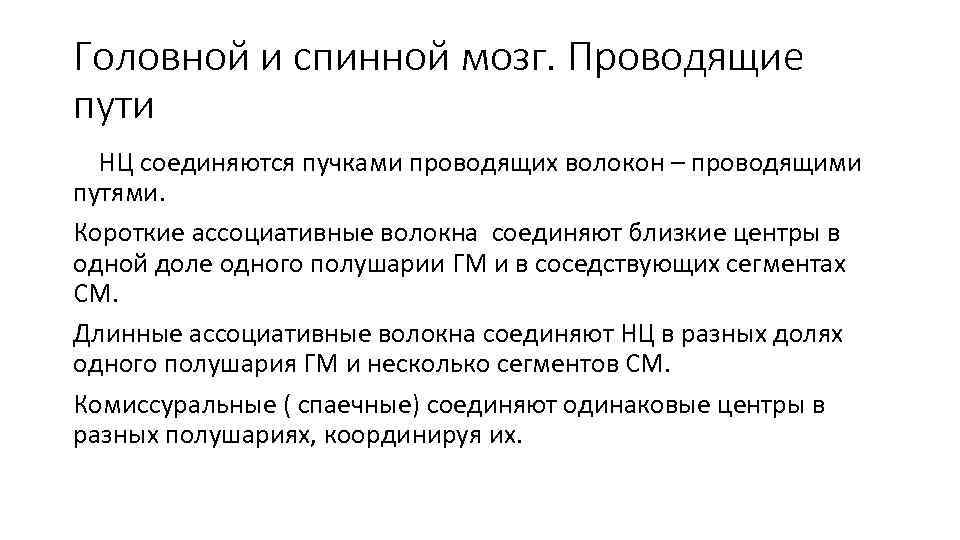 Головной и спинной мозг. Проводящие пути НЦ соединяются пучками проводящих волокон – проводящими путями.