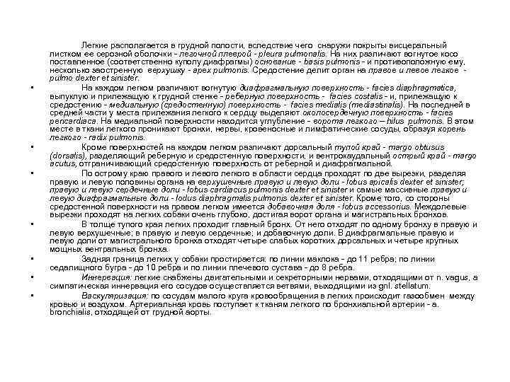  • • Легкие располагается в грудной полости, вследствие чего снаружи покрыты висцеральный листком