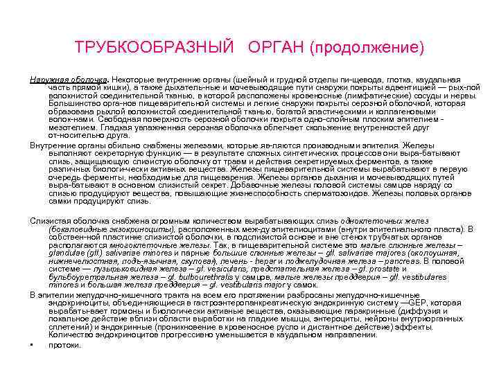 ТРУБКООБРАЗНЫЙ ОРГАН (продолжение) Наружная оболочка. Некоторые внутренние органы (шейный и грудной отделы пи щевода,