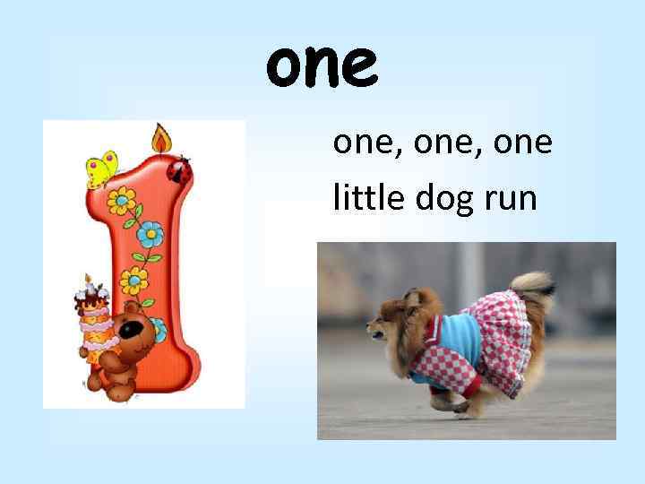 one one, one little dog run 