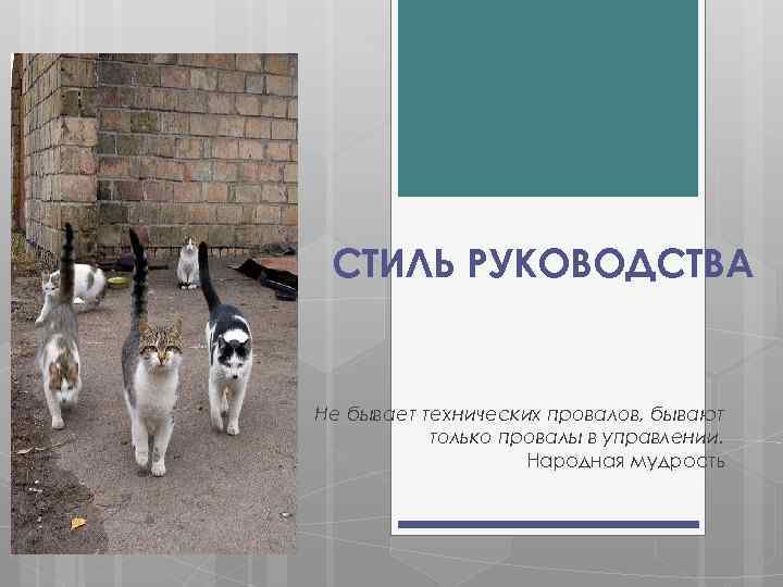 СТИЛЬ РУКОВОДСТВА Не бывает технических провалов, бывают только провалы в управлении. Народная мудрость 