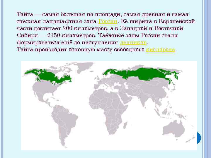 Тайга — самая большая по площади, самая древняя и самая снежная ландшафтная зона России.