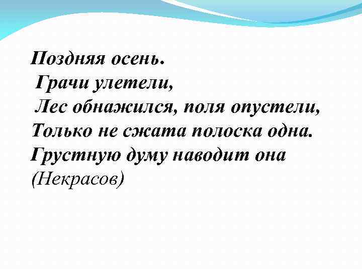 Поздняя осень грачи улетели лес обнажился. Поздняя осень Грачи улетели лес обнажился поля опустели. Стих поздняя осень Грачи улетели лес обнажился поля опустели. Позьная осень грочи у летели лес обножился. Некрасов поздняя осень Грачи улетели.