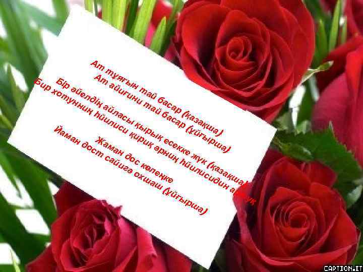  Ат тұ Ат яғ Би Бі ы ай н р х р әй