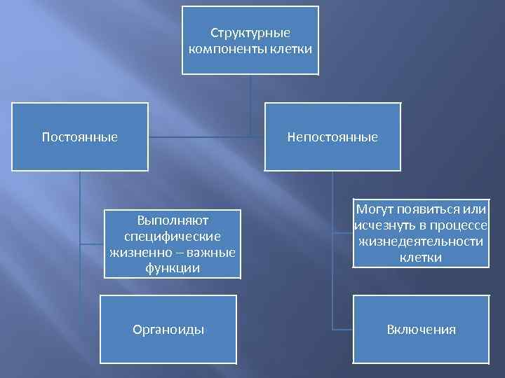 Основные компоненты клетки. Структурные компоненты клетки. Основные структурные компоненты клетки. Постоянные структурные компоненты клетки. Постоянные и непостоянные структурные компоненты клетки.