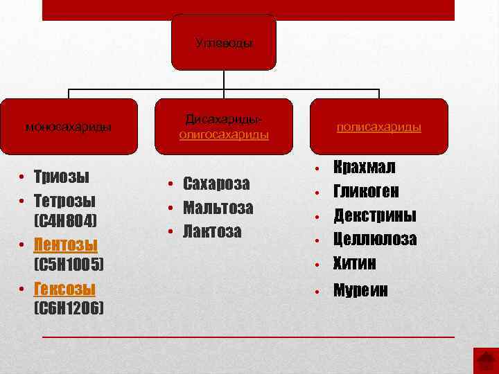 Углеводы моносахариды • Триозы • Тетрозы (С 4 Н 8 О 4) • Пентозы