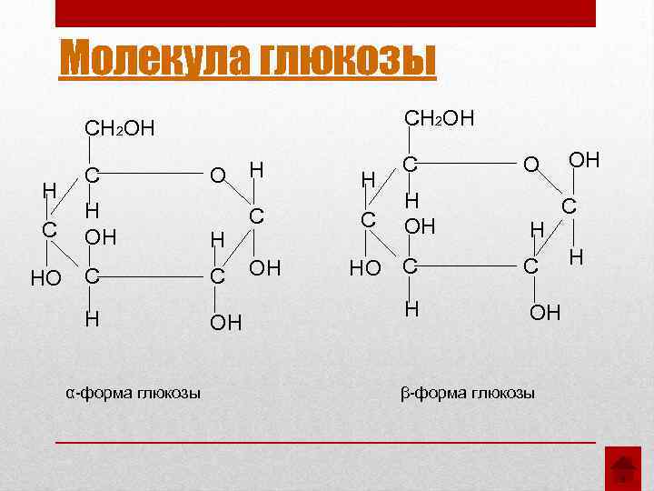 Две молекулы глюкозы