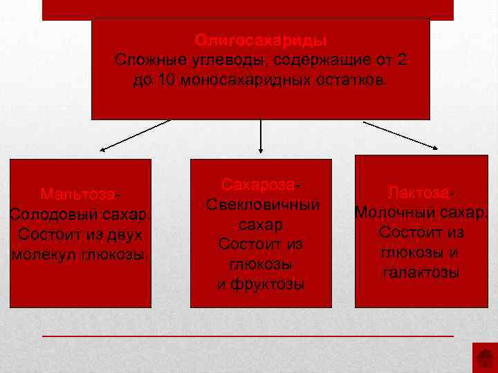 Олигосахариды Сложные углеводы, содержащие от 2 до 10 моносахаридных остатков. Мальтоза. Солодовый сахар. Состоит