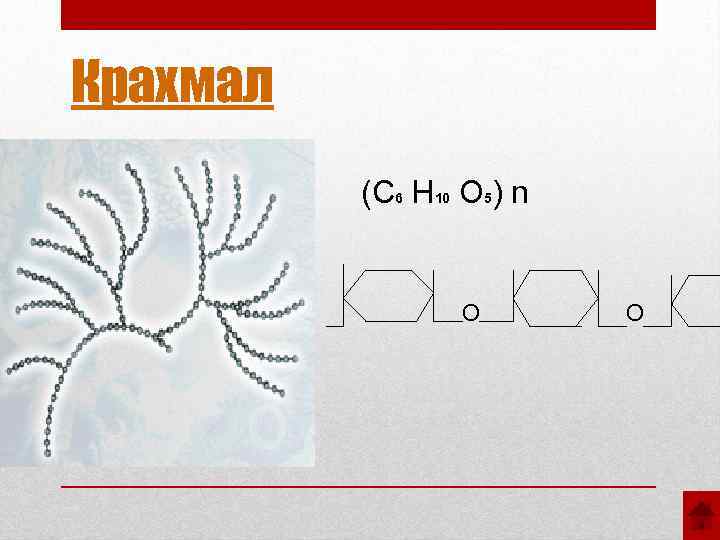Крахмал (С 6 Н 10 О 5) n О О 