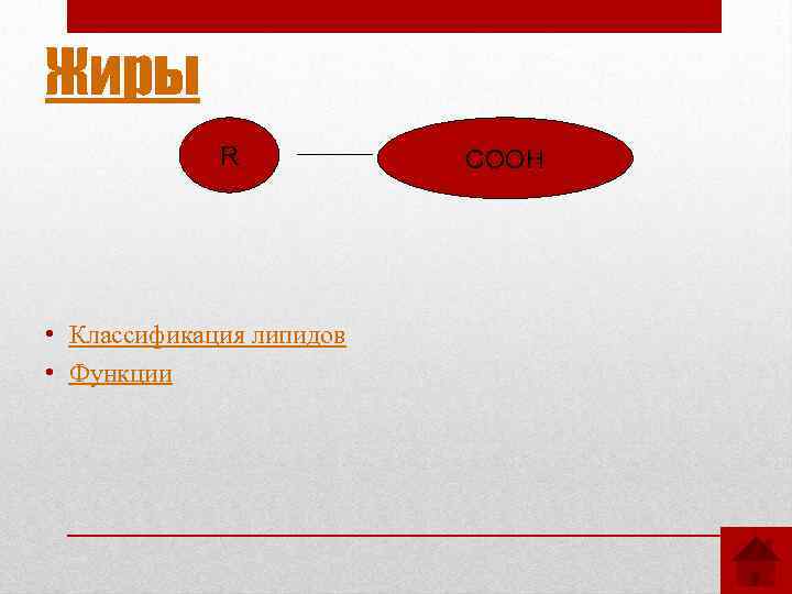 Жиры R • Классификация липидов • Функции CООН 