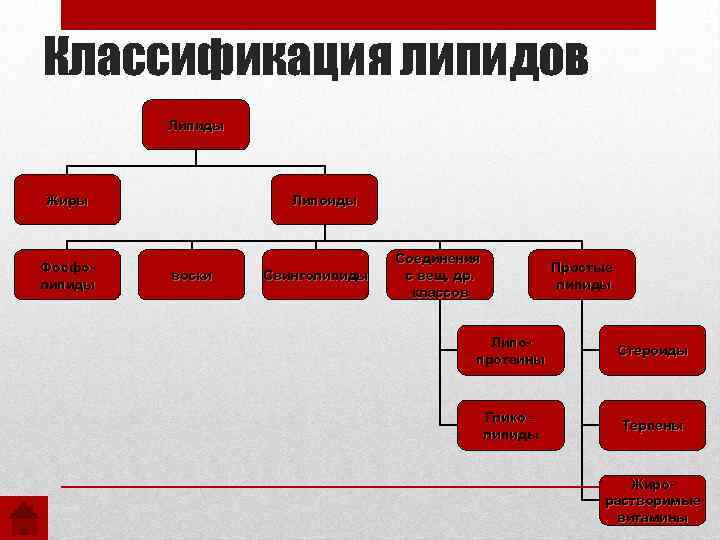 Классификация липидов Липиды Жиры Фосфолипиды Липоиды воски Свинголипиды Соединения с вещ. др. классов Простые