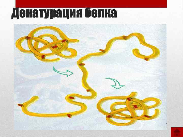 Денатурация белка 