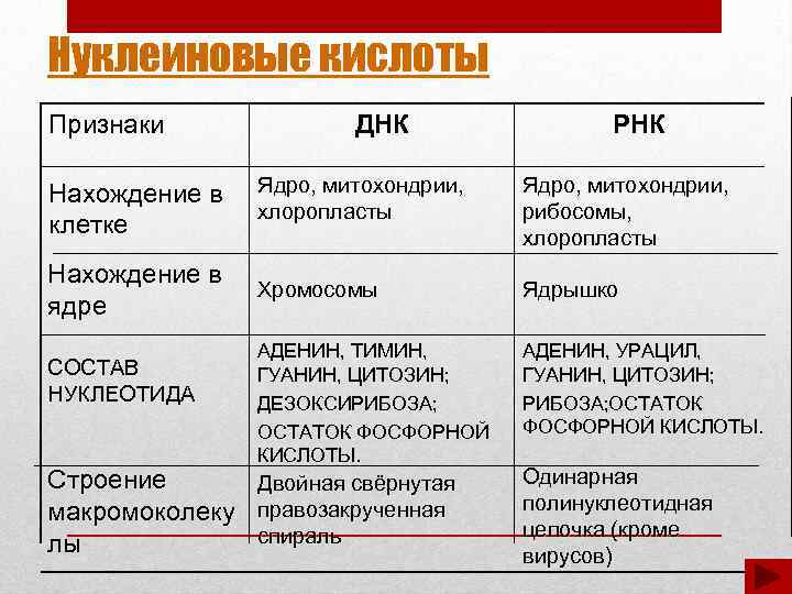 Содержание клетки