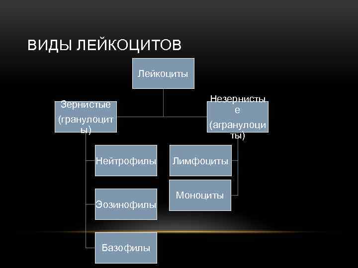 ВИДЫ ЛЕЙКОЦИТОВ Лейкоциты Зернистые (гранулоцит ы) Нейтрофилы Эозинофилы Базофилы Незернисты е (агранулоци ты) Лимфоциты