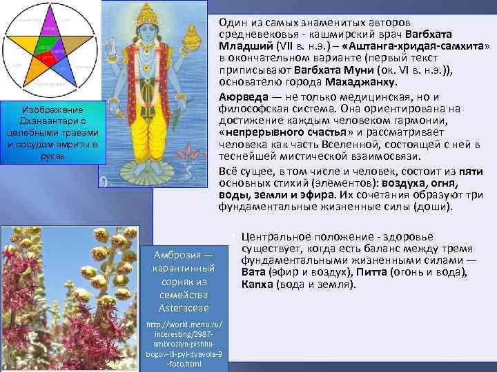 Изображение Дханвантари с целебными травами и сосудом амриты в руках Один из самых знаменитых