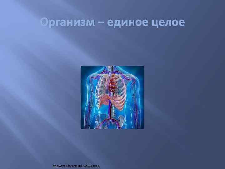 Единое целое. Организм человека единое целое. Организм как единое целое. Организм человека как единое целое. Организм как единое целое картинки.