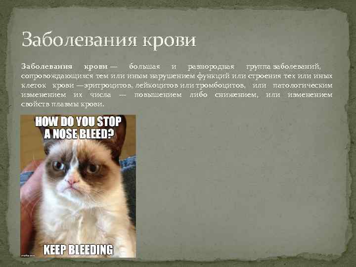 Заболевания крови — большая и разнородная группа заболеваний, сопровождающихся тем или иным нарушением функций