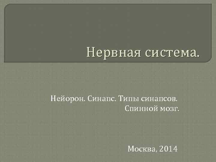 Нервная система. Нейорон. Синапс. Типы синапсов. Спинной мозг. Москва, 2014 