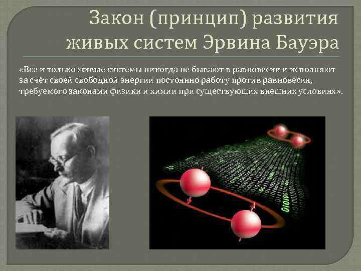 Закон (принцип) развития живых систем Эрвина Бауэра «Все и только живые системы никогда не