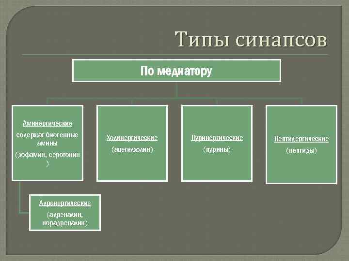 Типы синапсов По медиатору Аминергические содержат биогенные амины (дофамин, серотонин ) Адренергические (адреналин, норадреналин)