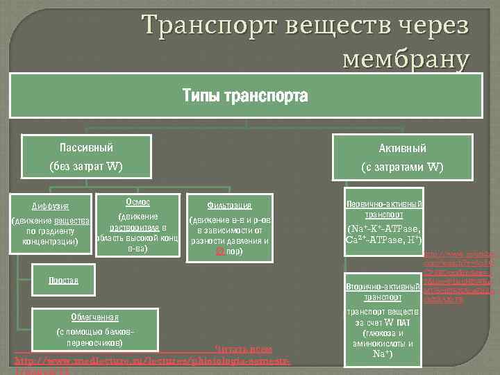 Транспорт веществ через мембрану Типы транспорта Пассивный Активный (без затрат W) (с затратами W)