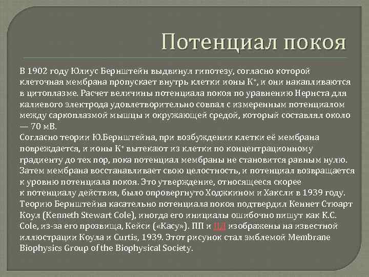 Потенциал покоя В 1902 году Юлиус Бернштейн выдвинул гипотезу, согласно которой клеточная мембрана пропускает