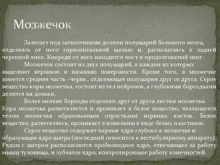 Мозжечок Залегает под затылочными долями полушарий большого мозга, отделяясь от него горизонтальной щелью и,