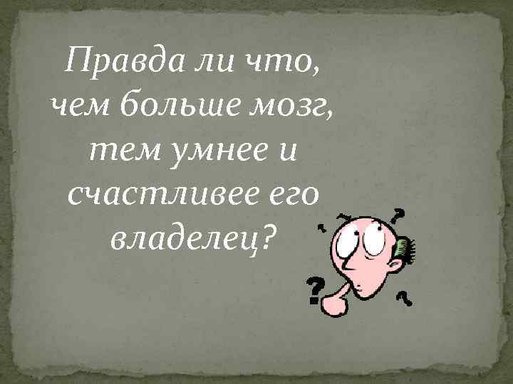 Правда ли что, чем больше мозг, тем умнее и счастливее его владелец? 