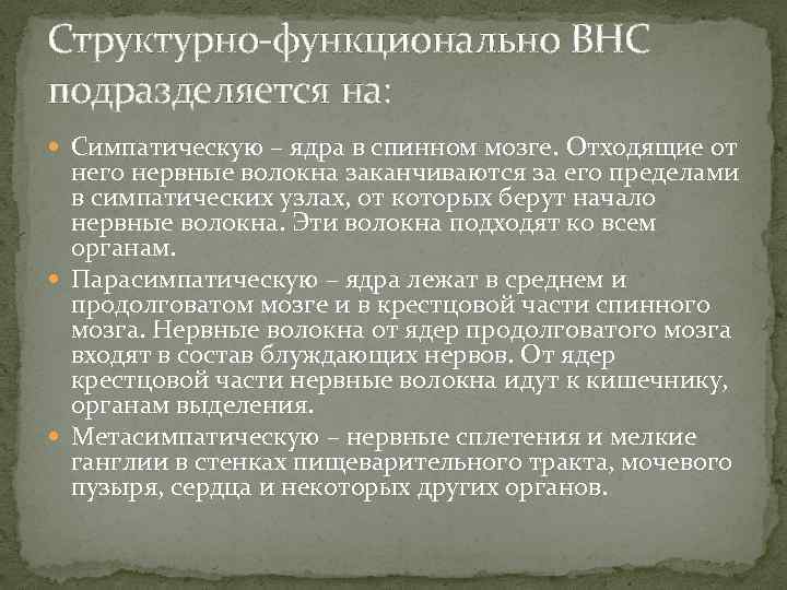 Структурно-функционально ВНС подразделяется на: Симпатическую – ядра в спинном мозге. Отходящие от него нервные