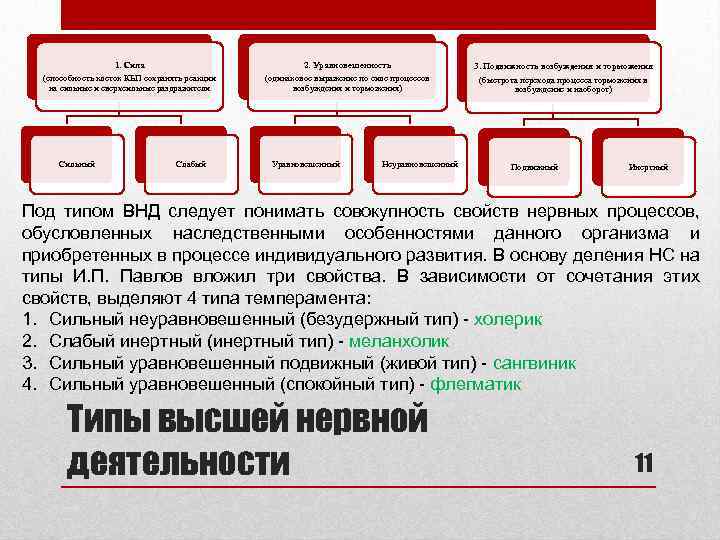 1. Сила 2. Уравновешенность 3. Подвижность возбуждения и торможения (способность клеток КБП сохранять реакции