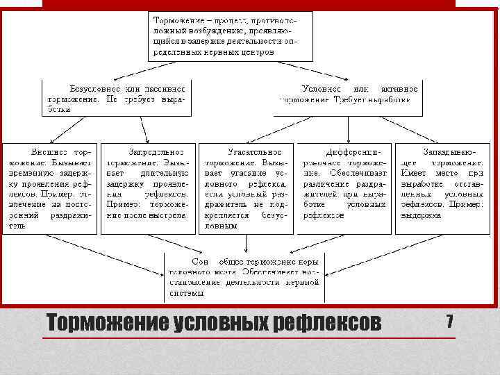 Торможение условных рефлексов 7 