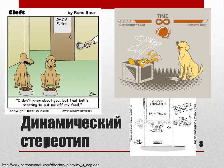 Динамический стереотип http: //www. cartoonstock. com/directory/p/pavlov_s_dog. asp 8 