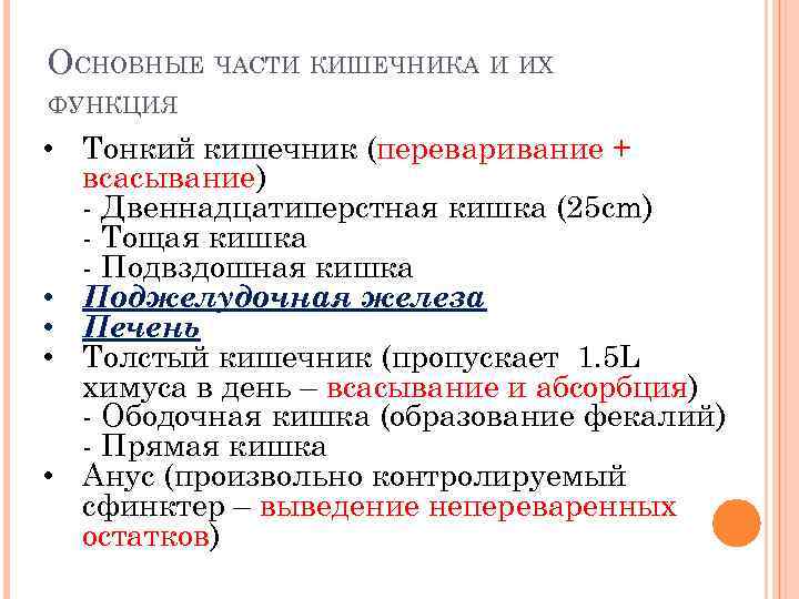 ОСНОВНЫЕ ЧАСТИ КИШЕЧНИКА И ИХ ФУНКЦИЯ • Тонкий кишечник (переваривание + всасывание) - Двеннадцатиперстная