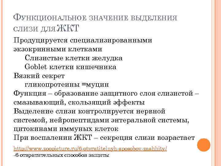 ФУНКЦИОНАЛЬНОЕ ЗНАЧЕНИЕ ВЫДЕЛЕНИЯ СЛИЗИ ДЛЯ ЖКТ Продуцируется специализированными экзокринными клетками Слизистые клетки желудка Goblet