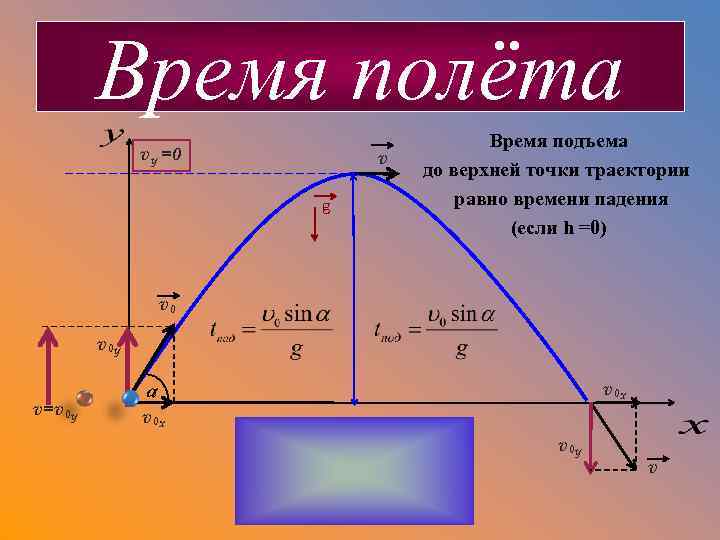 Время полёта vy =0 v g Время подъема до верхней точки траектории равно времени