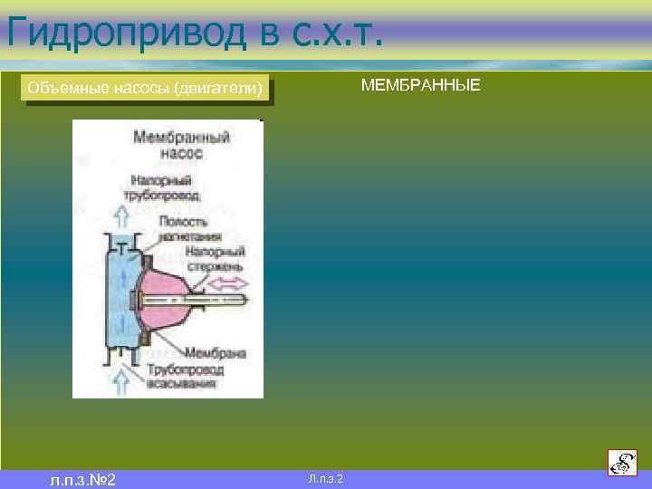 Презентация объемные насосы