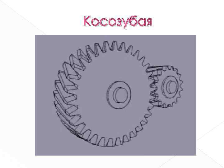 Косозубая 