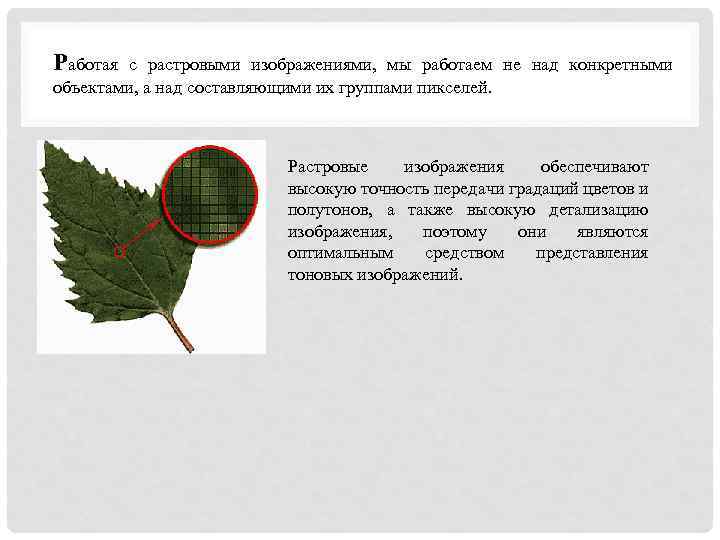 Работая с растровыми изображениями, мы работаем не над конкретными объектами, а над составляющими их