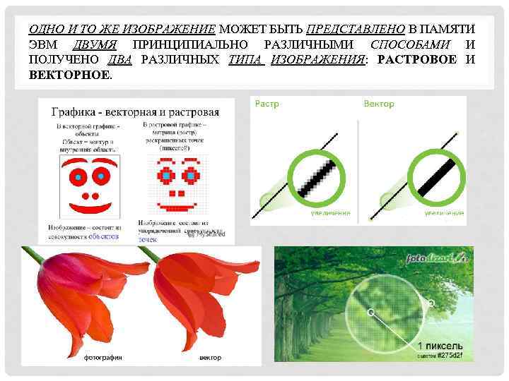 ОДНО И ТО ЖЕ ИЗОБРАЖЕНИЕ МОЖЕТ БЫТЬ ПРЕДСТАВЛЕНО В ПАМЯТИ ЭВМ ДВУМЯ ПРИНЦИПИАЛЬНО РАЗЛИЧНЫМИ